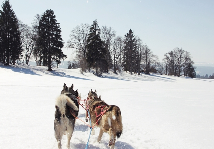 la-souris-coquette-blog-mode-voyages-suisse-4