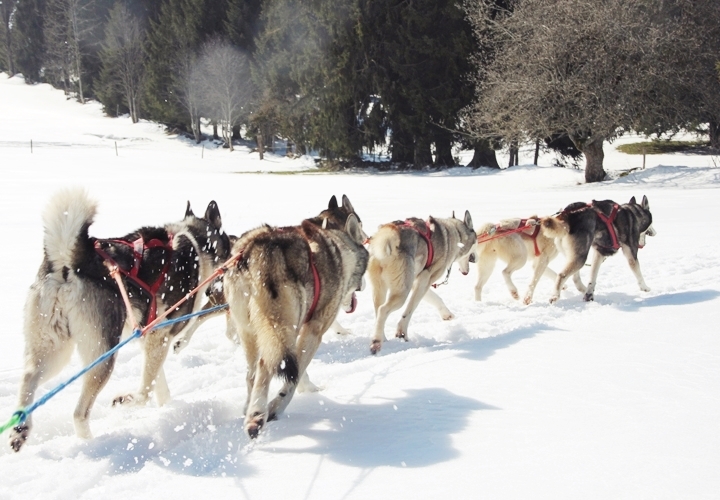 la-souris-coquette-blog-mode-voyages-suisse-6