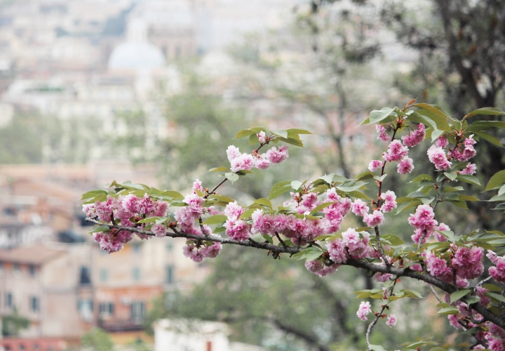 la-souris-coquette-blog-mode-voyages-rome-séjour-city-guide-14