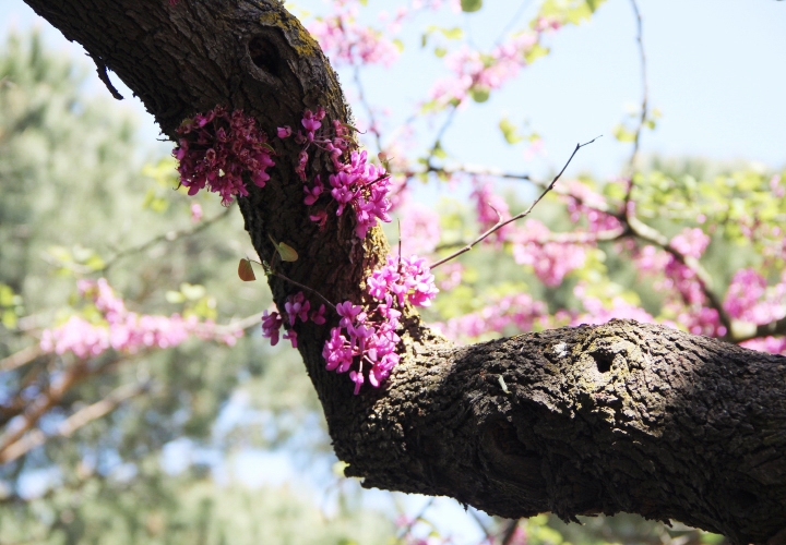 la-souris-coquette-blog-mode-voyages-rome-séjour-city-guide-40