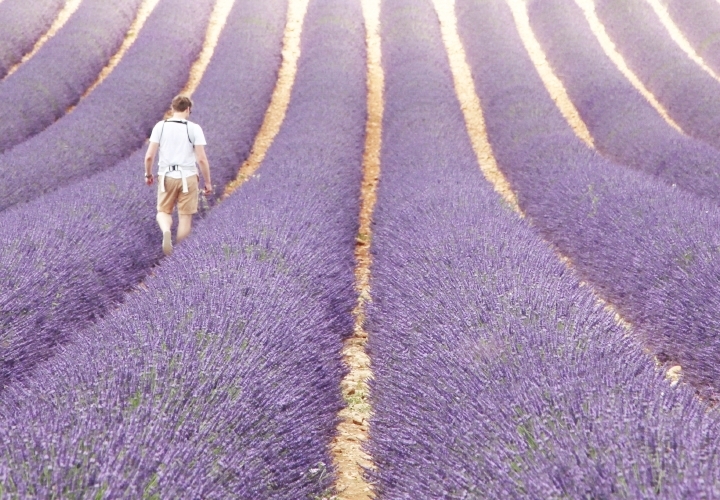 blog-voyage-mode-sud-gorges-verdon-champs-lavandes-plateau-valensole-10