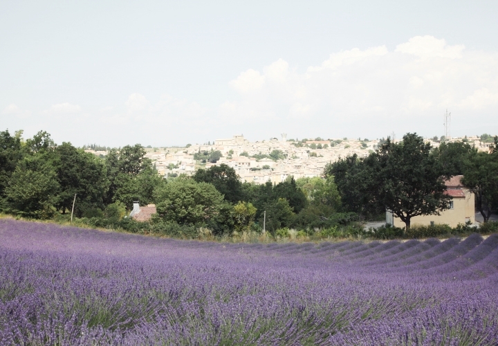 blog-voyage-mode-sud-gorges-verdon-champs-lavandes-plateau-valensole-17